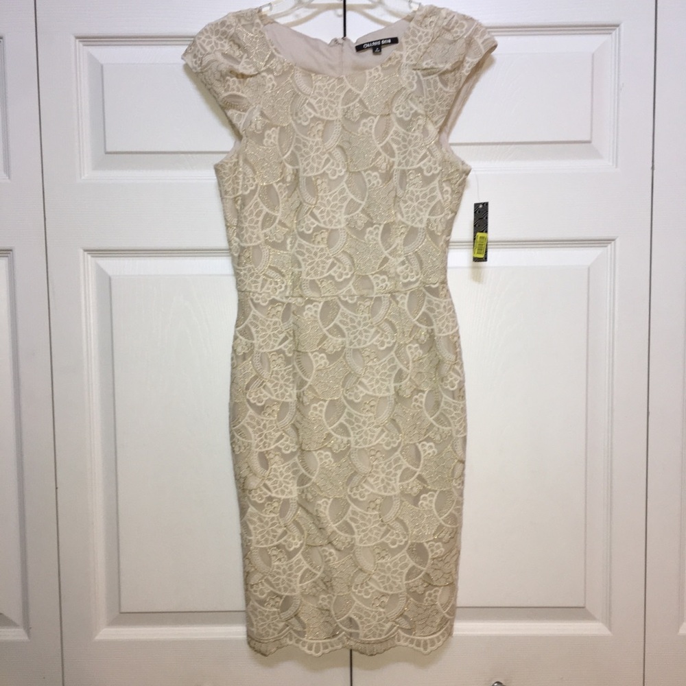 🆕GIANNI BINI GORGEOUS LACY DRESS-IS BRAND NEW